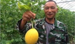 吃瓜群里的福利,揭秘吃瓜群里的独家福利大放送！