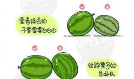 鼠标垫吃瓜,揭秘网络热议背后的真相