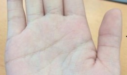 吃瓜的人的手相,手相中的趣味人生