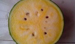 有人打架大家吃瓜,吃瓜群众热议不已