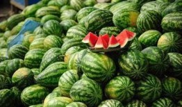 吃红瓜会不会肥胖,美味解渴，助你远离肥胖困扰