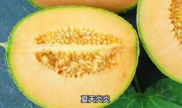 哈密瓜冻两天还可以吃吗,安全食用指南
