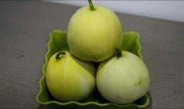 闲适吃瓜,揭秘娱乐圈幕后故事