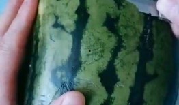 自制吃瓜手工,夏日清凉DIY乐趣