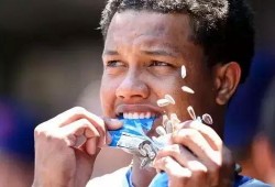 爱嗑瓜子吃瓜,爱嗑瓜子吃瓜的欢乐时光