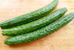 5点有瓜吃,揭秘日常生活中的小确幸