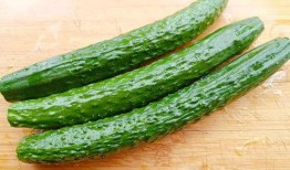 5点有瓜吃,揭秘日常生活中的小确幸