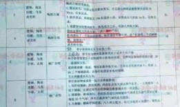 杭州剧本杀吃瓜,一场吃瓜群众的狂欢揭秘