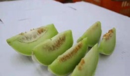 金山瓜好吃吗怎么吃,解锁最佳食用方法，尽享甘甜滋味