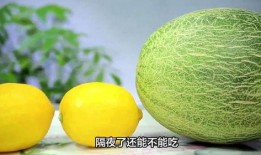 哈密瓜冻两天还可以吃吗,安全食用指南
