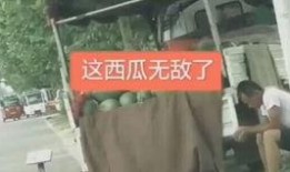 吃瓜父责任,揭秘网络舆论背后的家庭伦理与道德困境