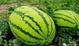 蓝奏吃瓜,揭秘娱乐圈背后的那些事儿