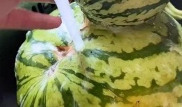 国超搞笑视频吃瓜,吃瓜群众笑翻天，瓜田里的欢乐时光