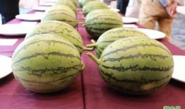 浙江嘉善吃瓜,探寻浙江嘉善的夏日美食风情