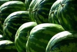 红岩吃瓜,揭秘娱乐圈背后的秘密与真相