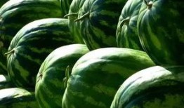 红岩吃瓜,揭秘娱乐圈背后的秘密与真相