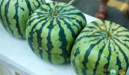 红岩吃瓜,揭秘娱乐圈背后的秘密与真相