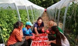 交城吃瓜新事件