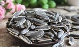 拿上瓜子吃瓜,轻松解锁娱乐新姿势