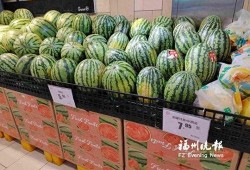 吃瓜群众西瓜瓜子