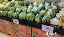 吃瓜群众西瓜瓜子