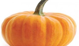 哮喘可以吃瓜,瓜类食材助力缓解症状