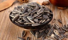 拿上瓜子吃瓜,轻松解锁娱乐新姿势