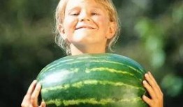 汕头龙湖吃瓜事件,一场网络热议背后的真相与反思