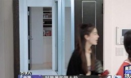 吃瓜合伙人贪污,揭开瓜田背后的权力诱惑与利益纠葛