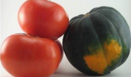 番茄吃瓜视频,一场别开生面的美食盛宴