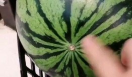 吃瓜季节又到了,盘点那些年我们一起“瓜”过的精彩瞬间