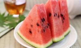 宝宝吃沙白瓜,营养丰富的沙白瓜食谱分享