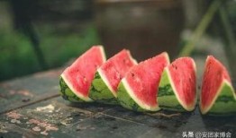 吃瓜季节又到了,盘点那些年我们一起“瓜”过的精彩瞬间