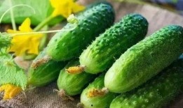 吃白瓜补什么,揭秘吃白瓜补什么