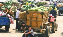 农村吃瓜的群众,见证乡村变迁的“瓜界”风云