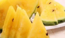 吃瓜网站在线吃瓜免费,免费在线吃瓜，畅享娱乐盛宴