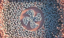 吃瓜小夹头,网络红人的崛起与影响力