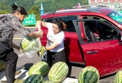 农村吃瓜的群众,见证乡村变迁的“瓜界”风云