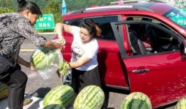 农村吃瓜的群众,见证乡村变迁的“瓜界”风云