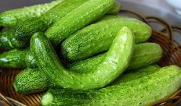 吃瓜张鲁明,揭秘娱乐圈背后的故事