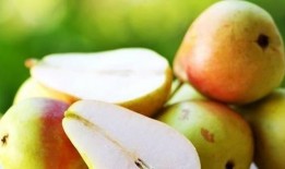 柚子的瓜怎么吃,柚子瓜的多样食法探索