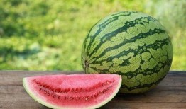 鼠标垫吃瓜,揭秘网络热议背后的真相