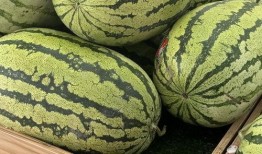 今天上午的重庆人吃瓜,吃瓜成风，街头巷尾话瓜香