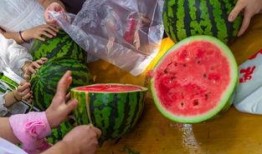 揭阳吃瓜曝光视频,视频曝光引发网友热议