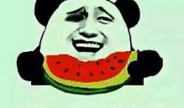 年度吃瓜大盘点,娱乐圈风云变幻，热点事件盘点回顾