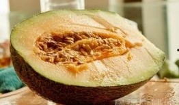 吃鱿鱼还可以吃哈密瓜吗,哈密瓜的甜蜜邂逅