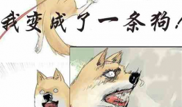 吃瓜打赌小说,吃瓜小说里的爱恨情仇