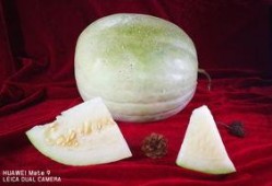 减肥可以吃三白瓜,轻松享瘦的秘密武器