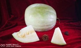 减肥可以吃三白瓜,轻松享瘦的秘密武器