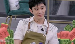 宁静吃瓜完整版,揭秘娱乐圈幕后真相的深度解析